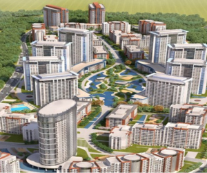 tema İstanbul